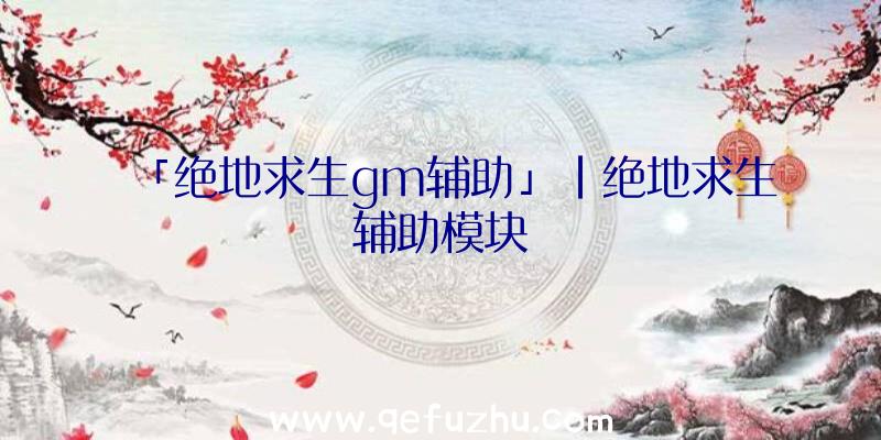 「绝地求生gm辅助」|绝地求生辅助模块